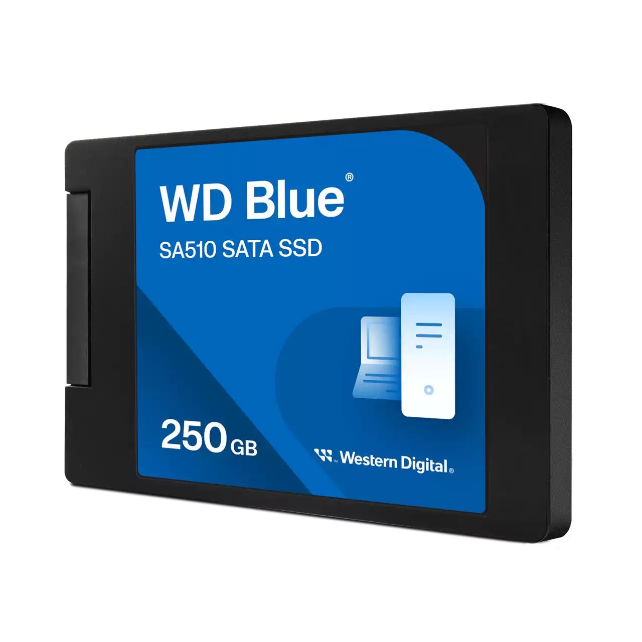 Solid State Drive (SSD)