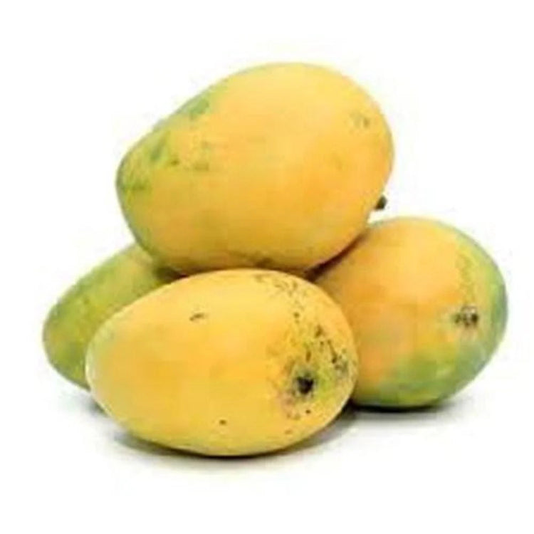 Mangoes Fruits