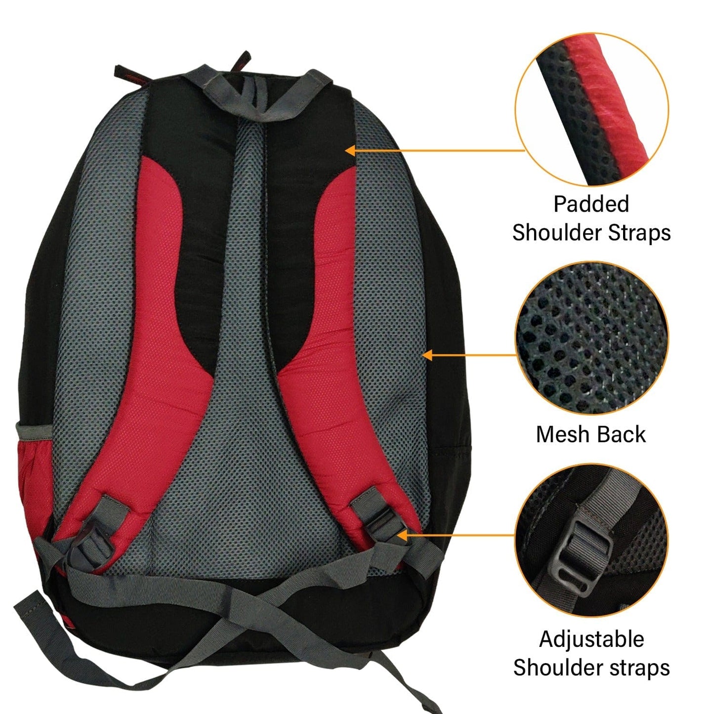 ANSIO School/College Pack with 4 Compartments Onezeros.in