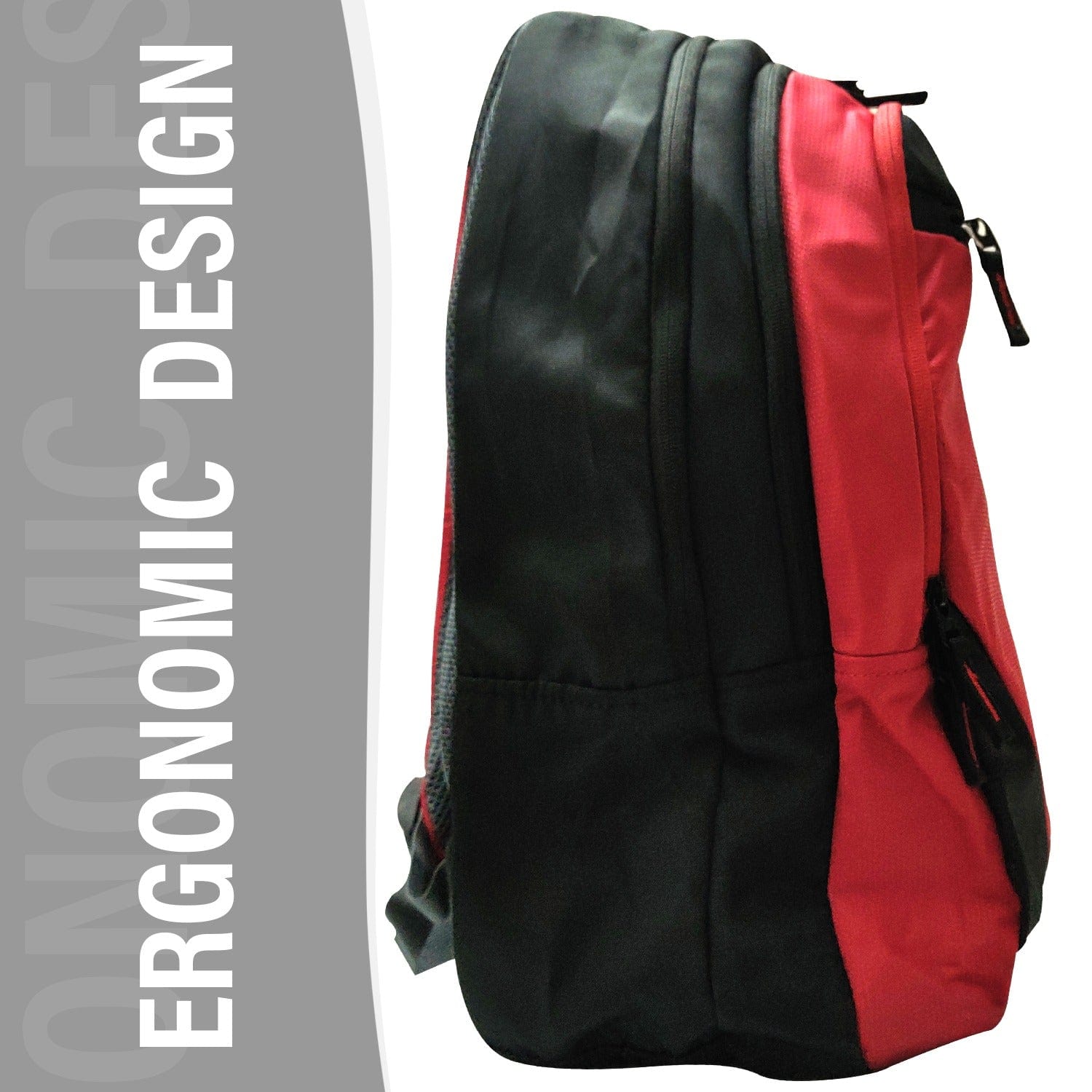 ANSIO School/College Pack with 4 Compartments Onezeros.in