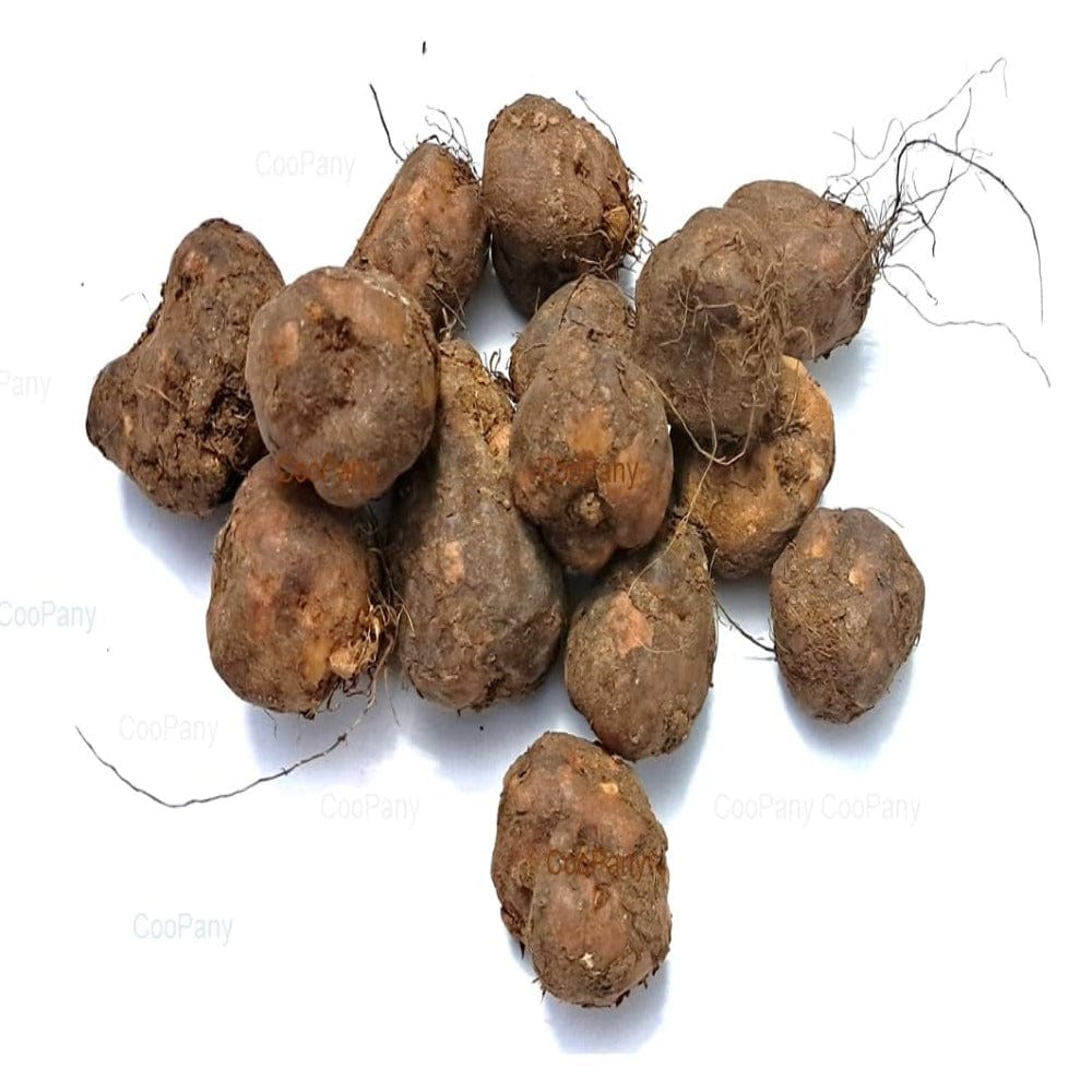 Chinese Potato/Sirukizhangu/Siru Kilangu 500 grams Onezeros.in