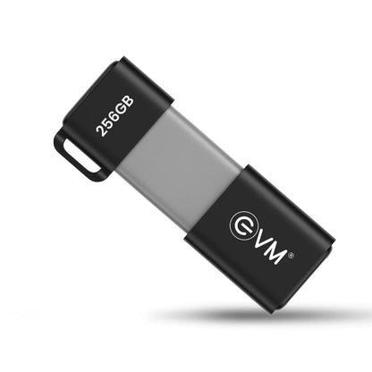 EVM EnX 256GB Type-C OTG Flash Drive 256 GB SanDisk