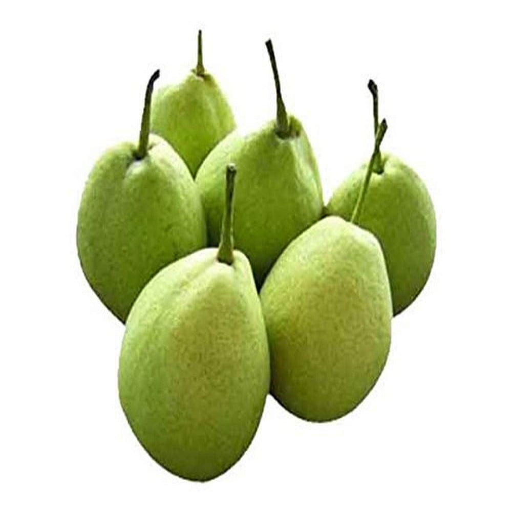 Pears - Indian 500 grams Onezeros.in