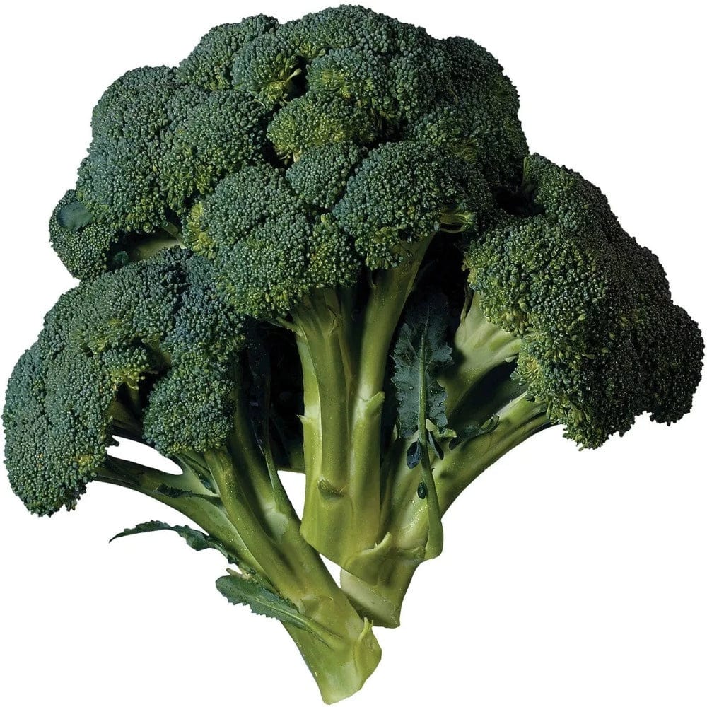 Broccoli 1 PC (Approx. 100g-300g) Onezeros.in