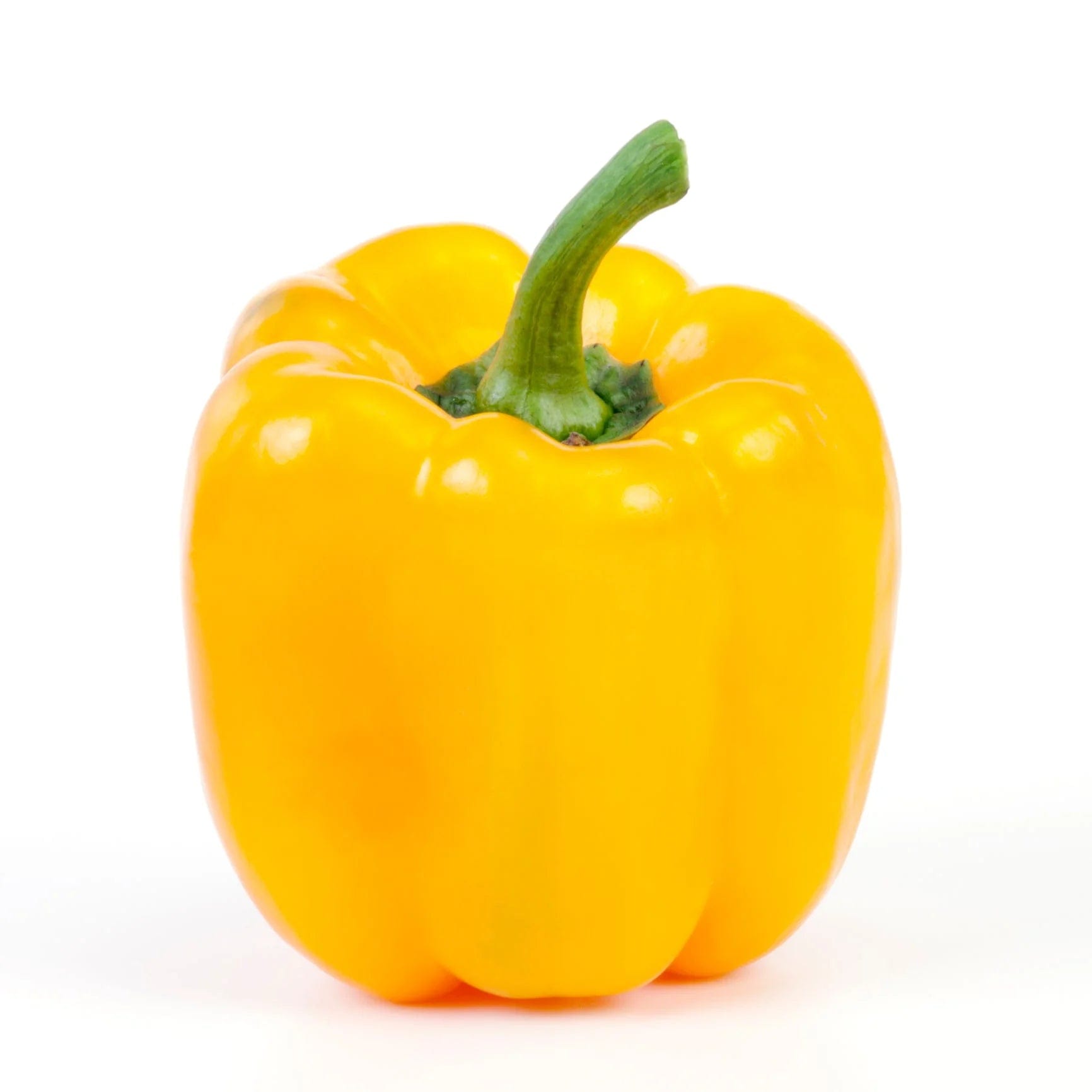 Capsicum - Yellow (1 pcs) Onezeros.in