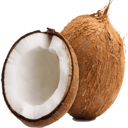 Coconuts/Tengai Medium Size Onezeros.in