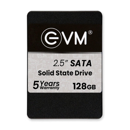 EVM 128GB SSD SATA Storage Devices for Computers Onezeros.in