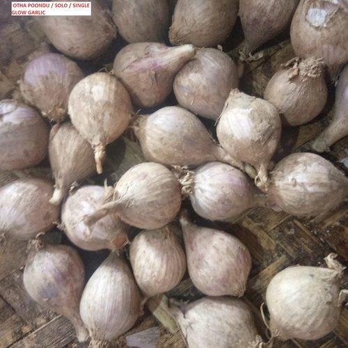 Himalayan Single Glove Garlic (Otha Poondu) 1 kg Onezeros.in