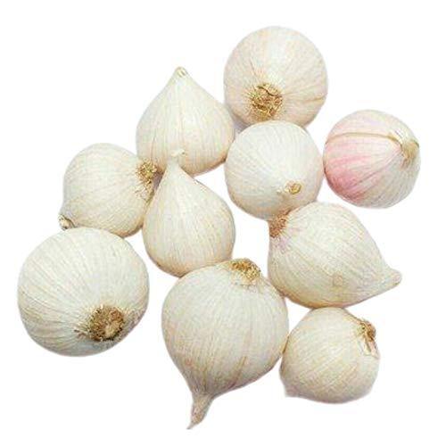 Himalayan Single Glove Garlic (Otha Poondu) 1 kg Onezeros.in