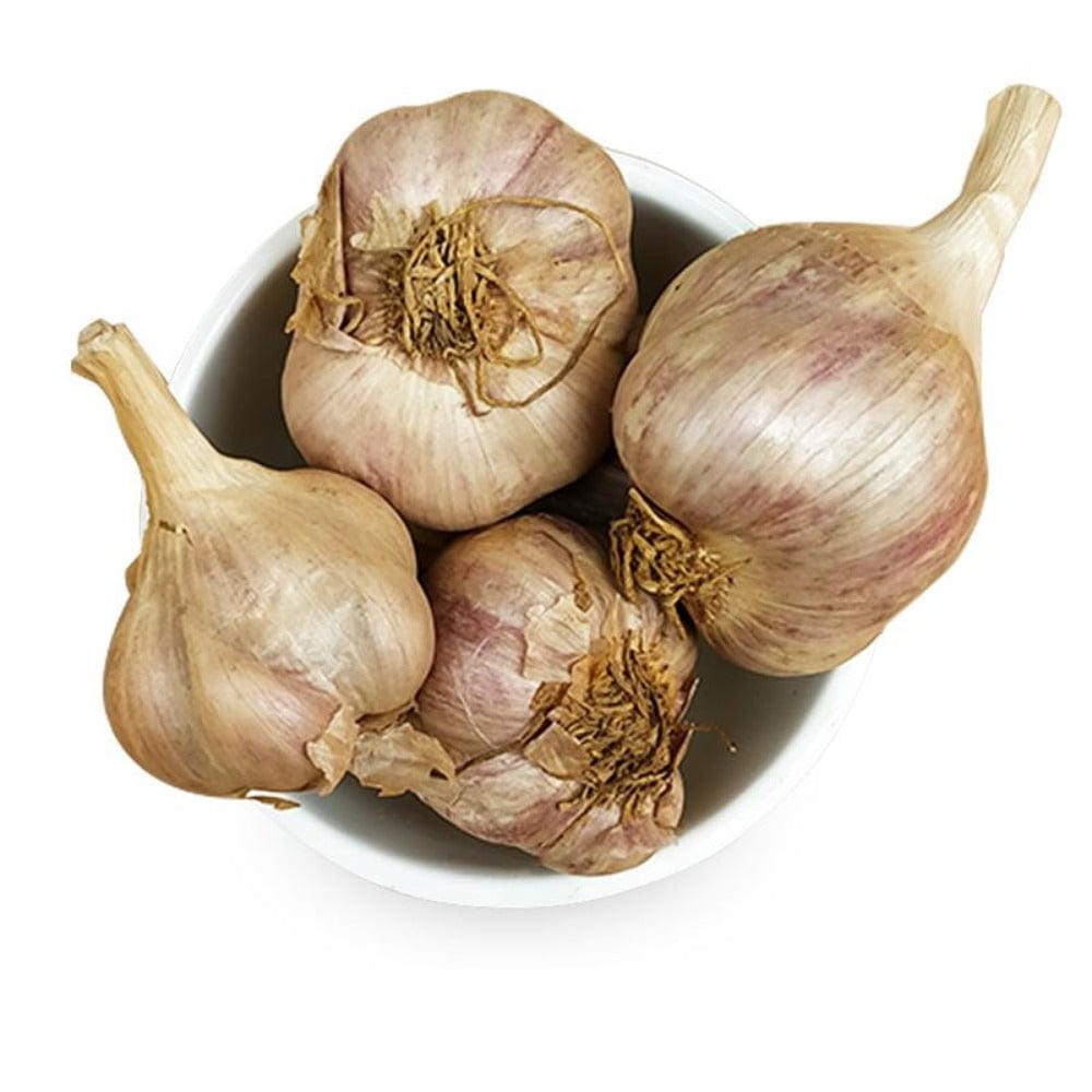 Kodaikanal Hill Garlic (Kodaikanal Malai Poondu) 1 kg Onezeros.in