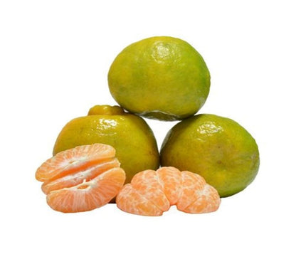 Nagpur Oranges 1 kg Onezeros.in