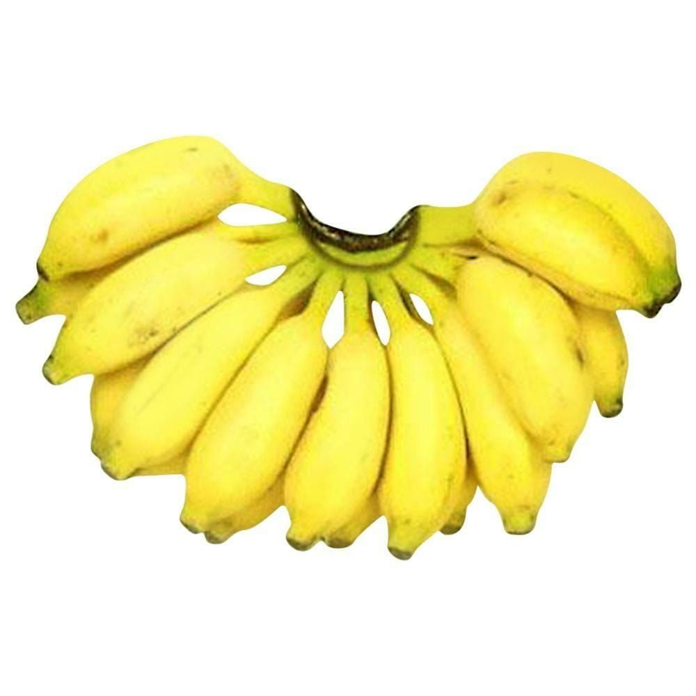 Poovan Banana 500 grams Onezeros.in