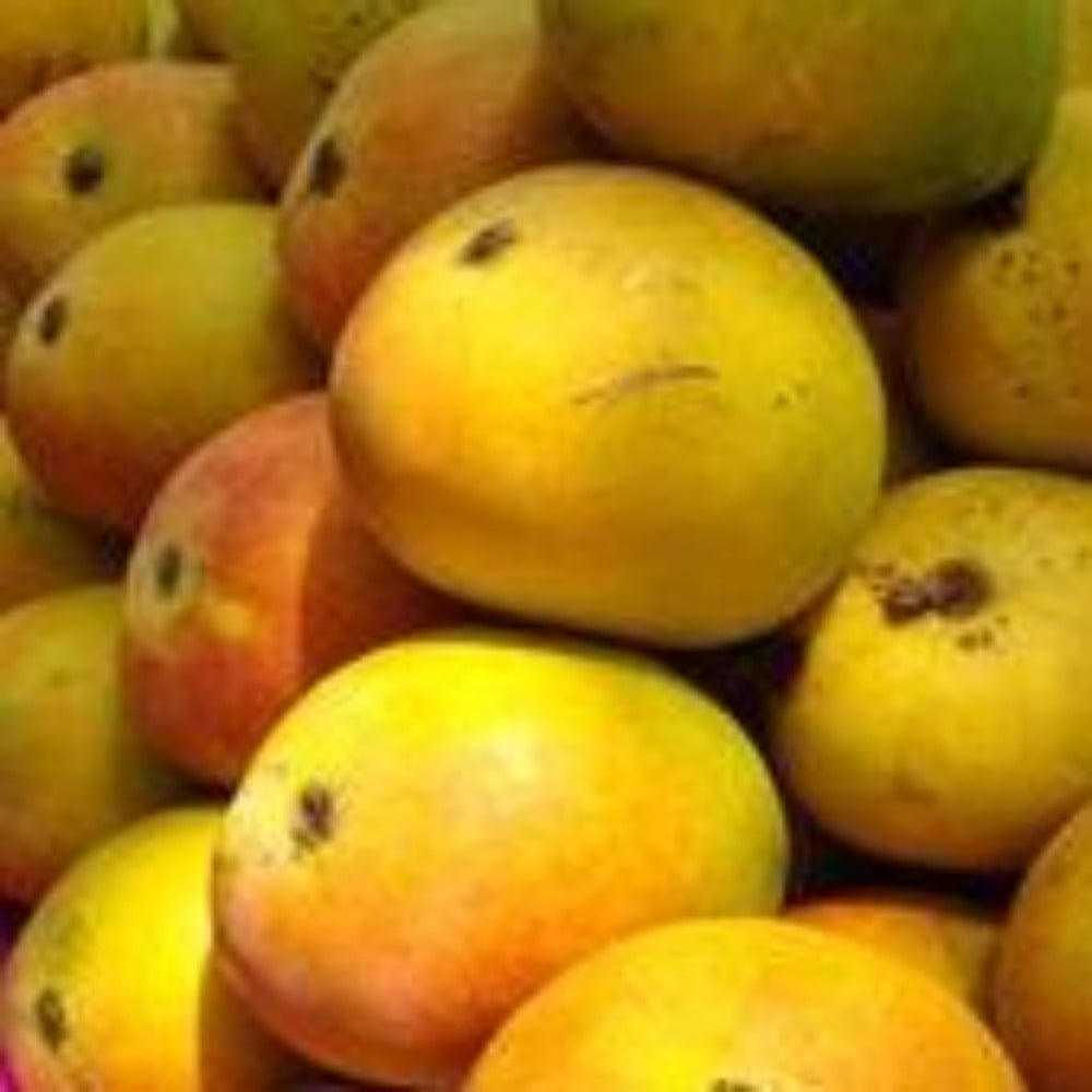 Rajapalayam Panjavarnam Mangoes Fruits (Unripe) Onezeros.in