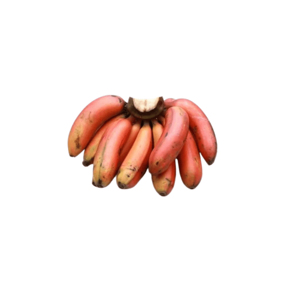 Red banana/Sevvazhai 500 grams Onezeros.in