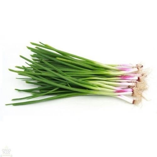 Spring Onion Onezeros.in